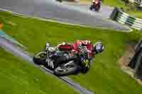 cadwell-no-limits-trackday;cadwell-park;cadwell-park-photographs;cadwell-trackday-photographs;enduro-digital-images;event-digital-images;eventdigitalimages;no-limits-trackdays;peter-wileman-photography;racing-digital-images;trackday-digital-images;trackday-photos